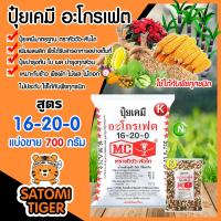 ราคา มีให้เลือก แบ่งขาย 100 700 กรัม ปุ๋ยเคมี 16 20 0 อะโกรเฟต หัววัวคันไถ ส่งเสริมการแตกกอ ขยายขนาดกอ ของข้าว ลำต้นแข็งแรง ใช้ได้กับพืชทุกชนิด (10746710688)