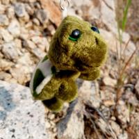 ราคา Yok thip 1ชิ้น เต่าแซมมี่ เต่า เต่าน่ารัก ขนาด3นิ้ว เต่าห้อยกระเป๋า ห้อยพวงกุญแจ พวงกุญแจ ตุ๊กตาผ้า ตุ๊กตาเต่า เต่าน้อย เต่างอย แซมมี่ เต่าตาโต ตุ๊กตาของขวัญ ของฝาก เต่าคู่ ตุ๊กตา สินค้ายอดฮิต (102382