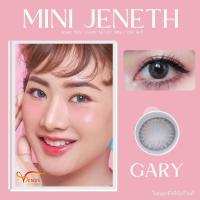 ราคา คอนแทคเลนส์ Mini JENETH เจเน็ต Gray Brown ยี่ห้อ Kitty kawaii ค่าสายตาปกติ 1000 (9793248500)