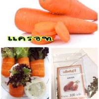 ราคา เมล็ดแครอท แครอท ซื้อ 10 แถม 1 คละอย่างได้ (4625392936)