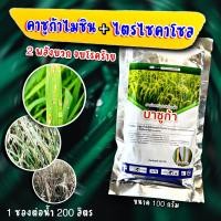 ราคา บาซูก้า ขนาด 100 G คาซูกาไมซิน ไตรไซคลาโซล คาซูก้า คาซูก้าไมซิน คาซูมินแอล คาซู่ ละลายง่าย ใบส้ม โรคขอบใบแห้ง ใบไหม้ ใบจุด (13606879462)