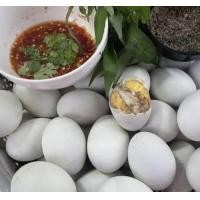 ราคา ไข่ลูกเป็ด เวียดนาม ระยะ 2 ไข่ดิบ พร้อมส่ง แถมพริกไทยเกลือ นำเข้าสด ใหม่ (19690448414)