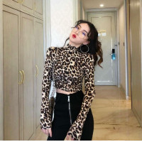 ราคา เสื้อลายม้าลายผู้หญิง เสื้อลายเสือดาว เสื้อลายเสือดาวเซ็กซี่ เสื้อยืดแขนยาวลาม้าลาย (20863932651)