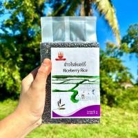 ราคา ข้าวไรซ์เบอร์รี่ คัดพิเศษ (17532990369)