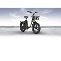 ราคา จักรยานไฟฟ้า Fiido T1 Cargo (19062508879)