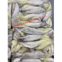 ราคา ไข่หมึกแช่แข็ง ไข่หมึกกระดอง อาหารแช่แข็ง ไข่หมึกกล้วย ไข่หมึกอาเจน สะอาด ปลอดภัย ค่าส่ง120 บาท ซื้อครบ 500 ส่งฟรี เมืองสมุทร (17539560628)