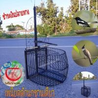 ราคา เพนียดดักนก ฟรีแก้วพลาสติก 1ชิ้น นกหัวจุก ที่ดักจับนก กรงดักนกทางเดียว เพนียดดักนหชานเดียว (1065912691)