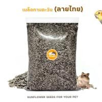 ราคา เมล็ดทานตะวันลายไทย 500 1000กรัม สำหรับ นกขนาดเล็ก กลาง ฟอพัส เลิฟเบิร์ด ค็อกคาเทล กระรอก หนูแฮมสเตอร์ และ สัตว์ฟันแทะอื่นๆ (20938377624)