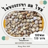 ราคา miniminey ไข่นกกระทาคละไซส์ หองใหญ่ๆ สดใหม่ เก็บไข่พร้อมส่งทุกวัน (19790494710)