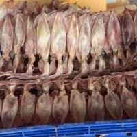 ราคา หมึกแพไข่ ไข่แท้ ไข่แน่น ราคาส่งจากโรงงาน (21103319366)