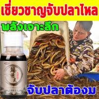 ราคา หัวเชื้อตกปลาไหลนา 100ML ล่อปลาไหล ดึงดูดปลา จับปลาไหลเร็ว สำหรับปลาไหล สิ่งล่อใจที่แข็งแกร่ง รวมเหยื่อล่อแ ปลาไหล (20765964330)