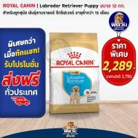 ราคา อาหารสุนัข ROYAL CANIN Labrador Puppy ลูกสุนัข 12 Kg (2265420384)