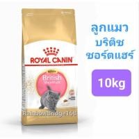 ราคา Royal Canin British Shorthair Kitten 10kg Exp 11 24 British Shorthair Adult 10kg Exp 02 25 อาหารแมวโต ลูกแมว บริติช ถุงขนาด 10 กิโลกรัม (16547515205)