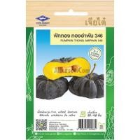 ราคา เมล็ดพันธุ์ ฟักทอง ทองอำพัน 346 ตราเจียไต๋ (20684528850)