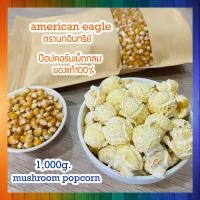 ราคา Mushroom Popcorn ข้าวโพดมัชรูม ป๊อบคอร์นมัชรูม เมล็ดข้าวโพดมัชรูม ขนาด 1000 g (19109004757)
