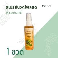 ราคา สเปรย์นวดไพลสด พรมจันทร์ ปริมาณ 60 ml (20562767856)