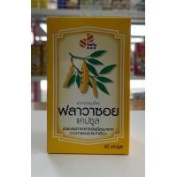 ราคา สารสกัดของถั่วเหลือง ฟลาวาชอย 60แคปซูล FLAVA SOY (20016206942)