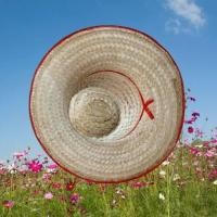 ราคา หมวกสานไม้ไผ่ หมวกสาน (20903786038)