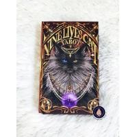 ราคา Nine Lives Cat Tarot ไพ่ยิปซีแท้ขอบสีส้มสะท้อนแสง ไพ่แท้ลดราคา ไพ่ยิปซี ไพ่ทาโร่ต์ ไพ่ออราเคิล Tarot Oracle (21036391154)