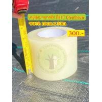 ราคา เทปซ่อมพลาสติกโรงเรือน สีใส 10cm x 50m (20857525879)