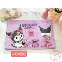 ราคา พรมกันลื่น พรมซับน้ำดี พรมเช็ดเท้าขนนุ่มพรมเช็ดเท้า ขนนุ่ม เนื้อนุ่ม ซับน้ำดี 640 (20997898196)