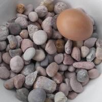 ราคา 14 กิโลกรัมก้อนหินกรวดสำหรับการออกแบบและตกแต่งสวนหรือภูมิทัศน์ No 2 สต็อกในประเทศไทย จัดส่งที่รวดเร็ว หินสีชมพู หินกรวด หินแต่งสวน (384526376)