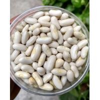 ราคา White Rajma White Kidney Beans ถั่วขาว 500g (20840953437)