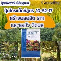 ราคา ปุ๋ยเกล็ด ปุ๋ย ปุ๋ยกิฟฟารีน ปุ๋ยเกล็ดกิฟฟารีน 10 52 17 ขนาด 1 กิโลกรัม (20702075802)