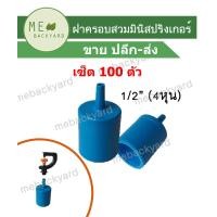ราคา 100 ตัว ฝาครอบ แบบมีก้าน ขนาด 1 2 4 หุน สวมมินิสปริงเกอร์ หรือ สายไมโคร ข้อต่อพีวีซี PVC (19045161875)