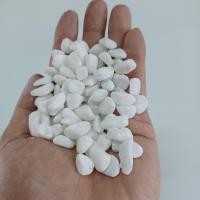 ราคา หินบาหลี หินดำเงา หิน หินนิล หินตู้ปลา หินใส่ตู้ปลา หินตกแต่งตู้ปลา หินโรยหน้ากระถาง (14078221937)