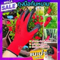ราคา ถุงมือกันหนาม ถุงมือทำสวน ถุงมือกันหนามชะอม ถุงมือปลูกกระบองเพชร ถุงมือกันหนามแคคตัส ถุงมือกันลื่น homes (10116942708)