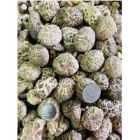 ราคา เห็ดหอม AAA4 500 กรัม เห็ดหอมลายจีน เนื้อหนากรอบ (12120061448)