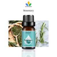 ราคา Rosemary Fragrance Oil 10 ml น้ำมันหอมระเหย ผสม หัวน้ำหอม กลิ่น โรสแมรี่ Ozone Oil Aroma Oil SAWADEEZEN (20691114857)