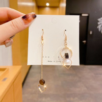 ราคา Korean Fashion Pearl Tassel Rhinestone Temperament Earrings Female 2023 New Exquisite Earrings Gift (19470917602)