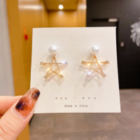 ราคา Korean Fashion Pearl Tassel Rhinestone Temperament Earrings Female 2023 New Exquisite Earrings Gift (19470917647)