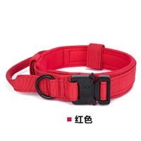 ราคา TOWAY ปลอกคอสัตว์เลี้ยง ปลอกคอสุนัข ปลอกคอไนล่อนอย่างดี มีตะขอสำหรับคล้องสายจูง ปรับขนาดได้ แข็งแรงทนทาน BB B04 (16106447151)