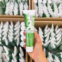 ราคา ยาสีฟันสมุนไพรดีเดนท์ (19514488037)