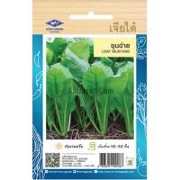 ราคา เมล็ดพันธ์ ชุนฉ่าย เจียไต๋ (20670274207)