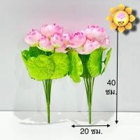 ราคา ช่อดอกบัว ช่อคู่ ดอกบัวผ้า บงกช (19208631711)