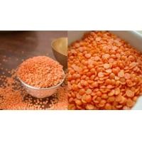 ราคา MASOOR DAL RED LENTILS ถั่วเลนทิลสีแดง มาซูร ดาล 500G (10965699781)