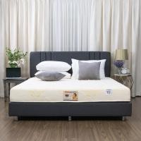 ราคา Darling deluxe ที่นอนดาร์ลิ่ง ที่นอนยางพารา รุ่นเทียราพีดิก Therapedic หนา 8นิ้ว (18040861771)