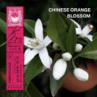 ราคา KARMAKAMET Original Aromatic Glass Candle คามาคาเมต เทียนหอม เทียน สร้างบรรยากาศ กลิ่นหอม บ้านหอม (805792415)