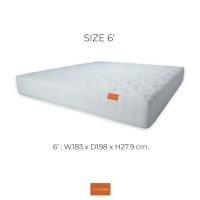 ราคา ZEN Collection ที่นอนสปริง 11 นิ้ว MOZZARELLA โครงสร้าง Bonnell Spring ฟองน้ำอัด Hybrid ขนาด 3 5 ฟุต 5 ฟุต 6 ฟุต (16532746129)