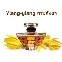 ราคา หัวเชื้อน้ำหอมกลิ่น กระดังงา Ylang Ylang เข้มข้นติดทนยาวนาน FRAGRANCE OIL ขนาด 30ml (17197306966)