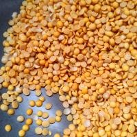 ราคา ถั่วเหลืองผ่าซีก ใช้ทำน้ำเต้าหู้ เต้าเจี้ยว ถั่วเน่า ถั่วใหม่ สด สะอาด (19735624230)