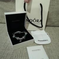 ราคา CODsare13fghf ชุดอุปกรณ์pandora กล่องกำไล ถุงกระดาษ ถุงผ้า ผ้าขัด (20176504970)