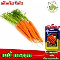 ราคา ส่งKerry แพ็ค 5 ซอง 3A เมล็ดพันธุ์ เบบี้แครอท พันธุ์นิวเจ็น ประมาณ 500 เมล็ด ซอง ตราสามเอ เมล็ดพันธุ์ผัก เมล็ดผัก เมล็ดพืช ผักสวนครัว ปลูกผัก (2657950823)
