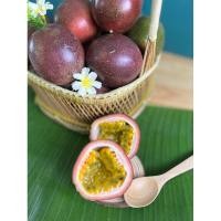 ราคา จากฟาร์ม สดใหม่ 1 กิโล เสาวรส สดเบอร์สวยVIP ราคาถูก ราคาส่ง (20943097569)