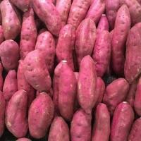 ราคา มันม่วง มันเทศ สดใหม่จากสวน ทำเมนูคาวหวานก็อร่อย ขนาด 10 kg (19964261142)
