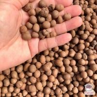 ราคา ถุงละ 1 ลิตร เม็ดปอปเปอร์สีอิฐ ดินเผาโรยหน้า Clay Popper (4945036862)